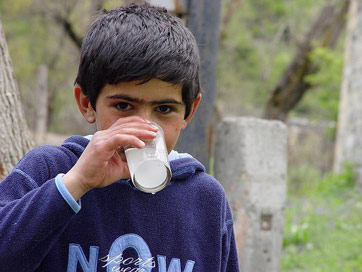 Waterways Initiative in 1999 provided clean drinking water to four major regions (each 8–13 villages) in Karabakh